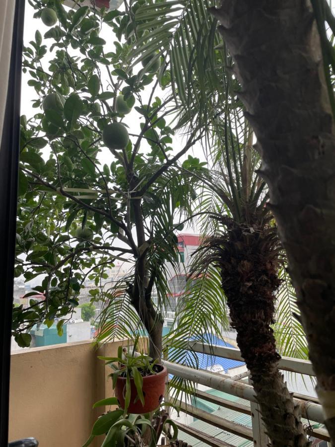 May Residence-800M From Opera House 河内 外观 照片