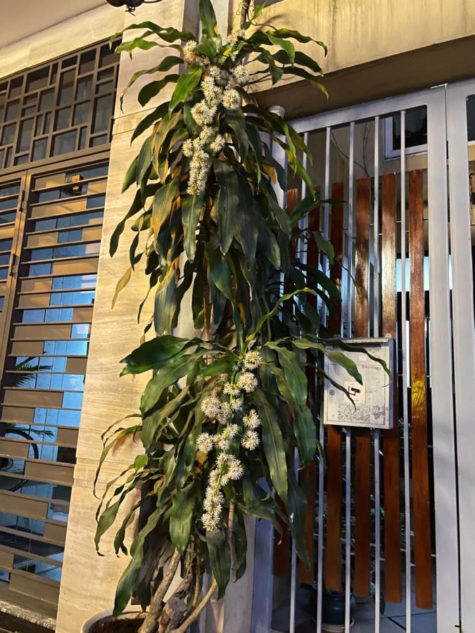 May Residence-800M From Opera House 河内 外观 照片