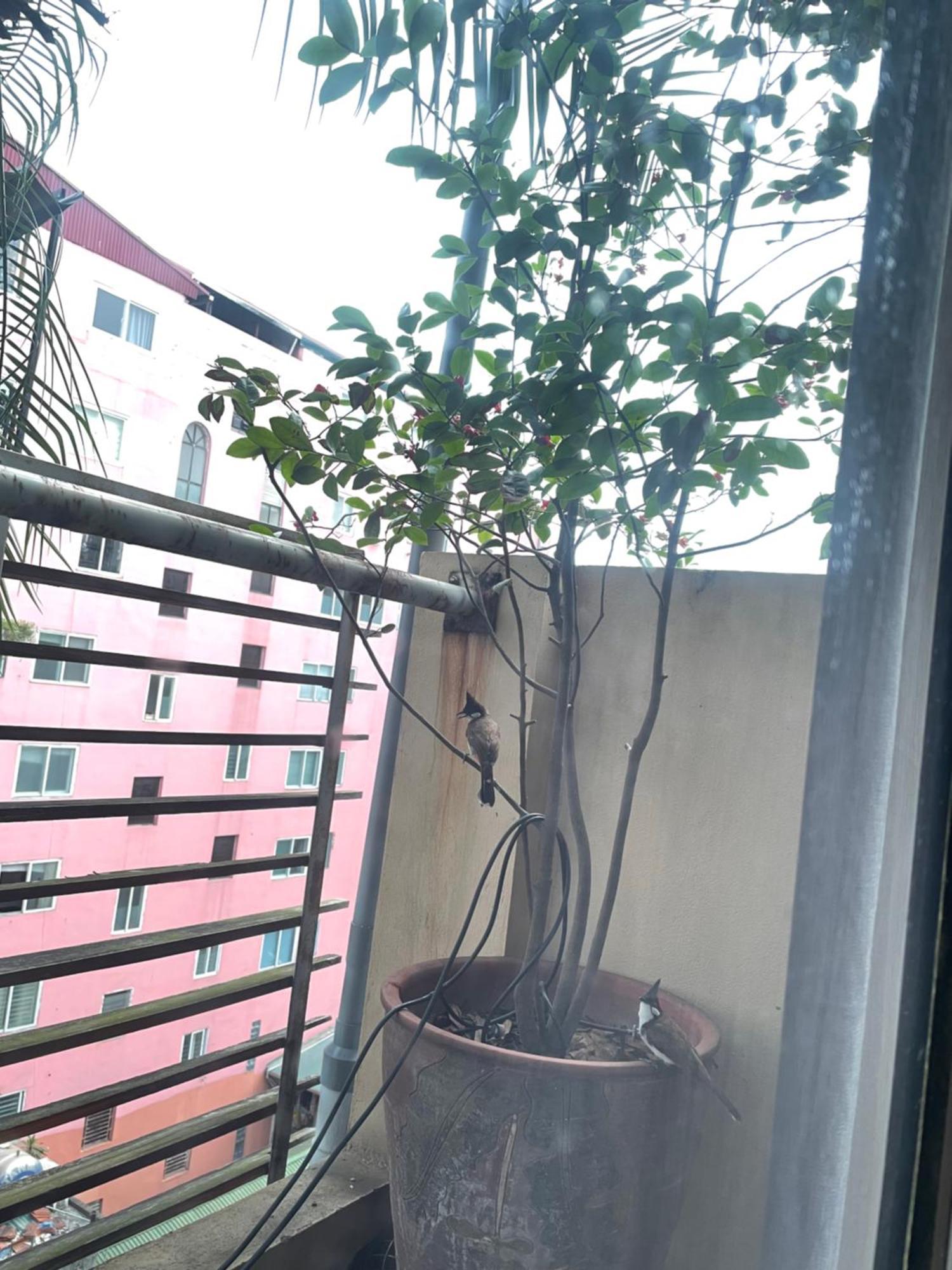 May Residence-800M From Opera House 河内 外观 照片